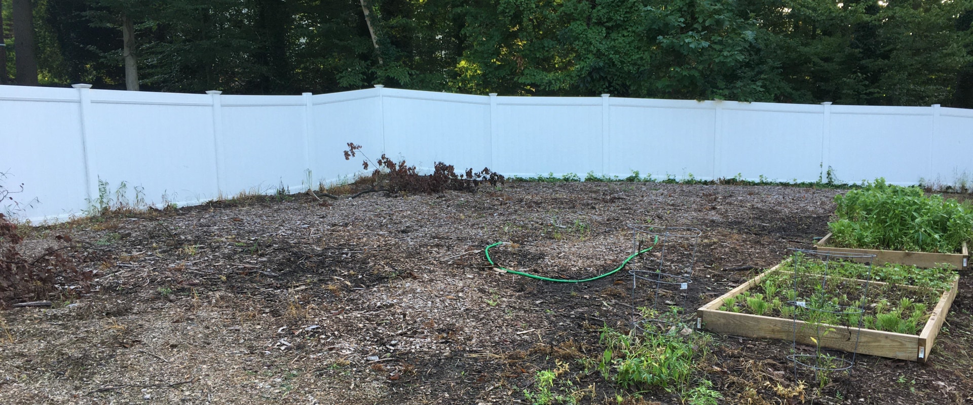 What Are The Top Reasons To Invest In Mulching Services For Your