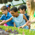 What Kind of Training Do Australian Youth Organizations Offer?