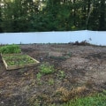What Are The Top Reasons To Invest In Mulching Services For Your Northern Virginia Urban Forestry