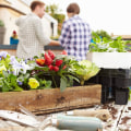 Partnering with Organizations to Support Australian Youth: A Guide for Making a Difference