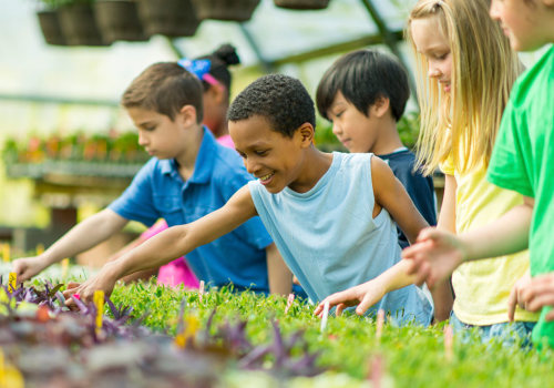 What Types of Activities Do Australian Youth Organizations Offer?